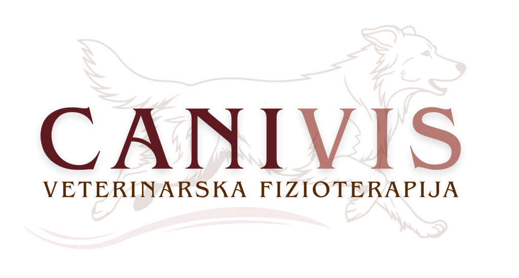 canivis 20260407 135304 0000